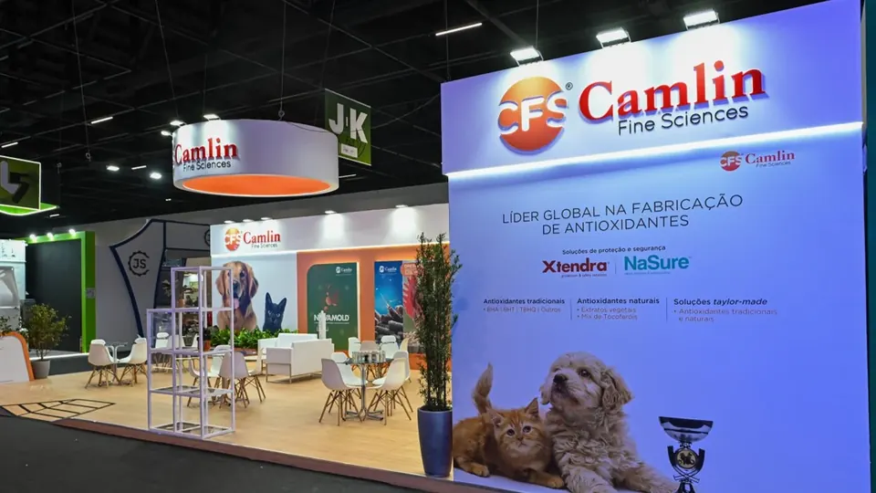 Lateral do estande da CAMLIN com painel institucional e área de mesas.